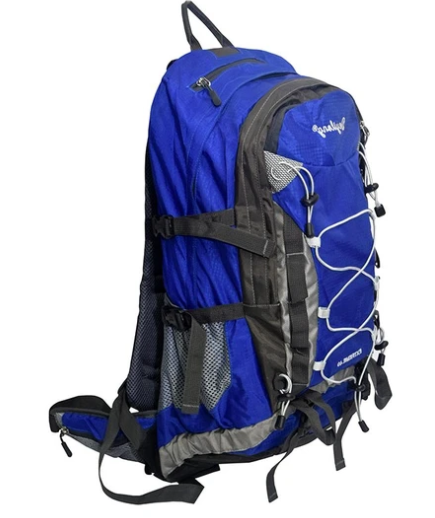 pro-sport-travel-leisure-back-pack-with-rain-cover-blue
