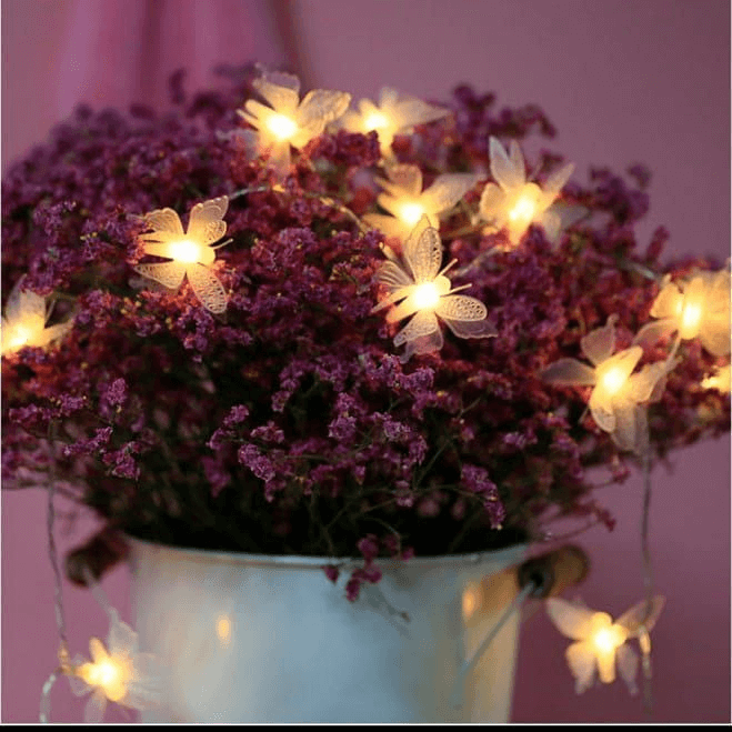 10-led-butterfly-fairy-lights