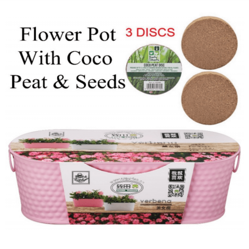 stainless-steel-flower-pot-with-coco-peat-n-seeds