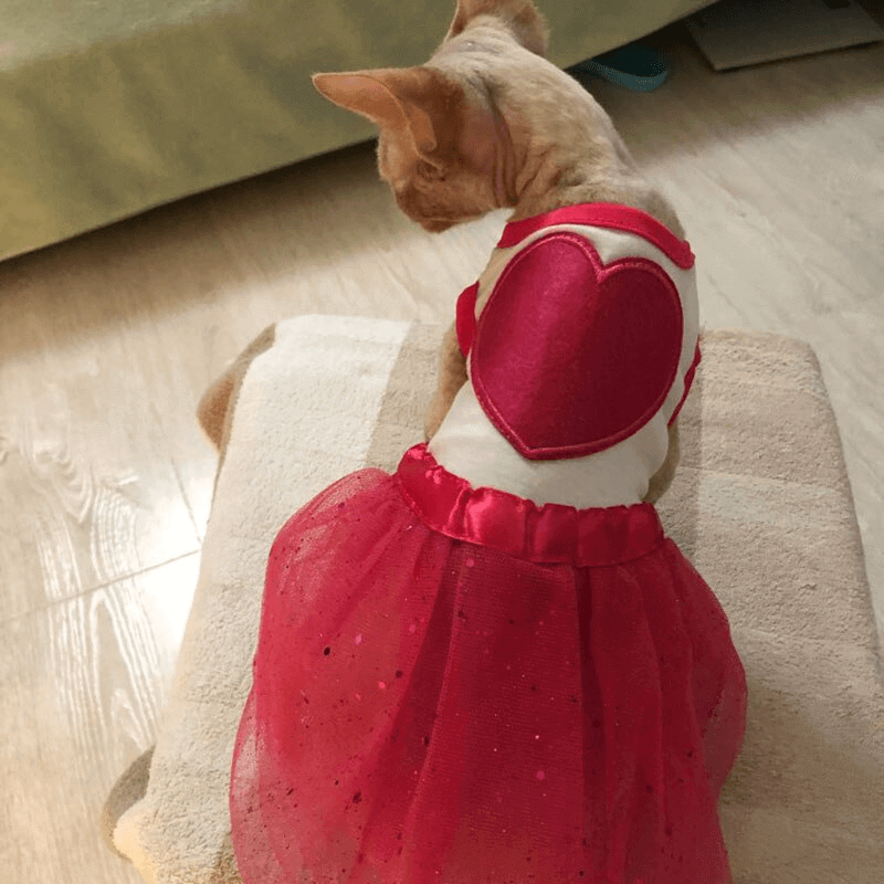 cat-dog-clothes-red-heart-cat-dress-skirt