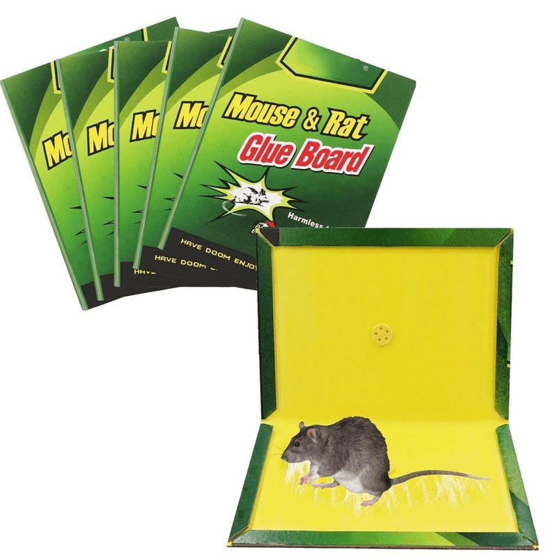 mouse-trap-pack-of-10