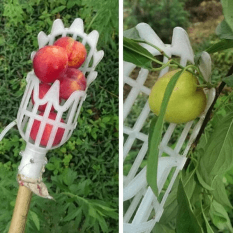 fruit-picker