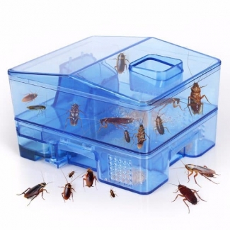 Reusable Plastic Cockroach Traps Box
