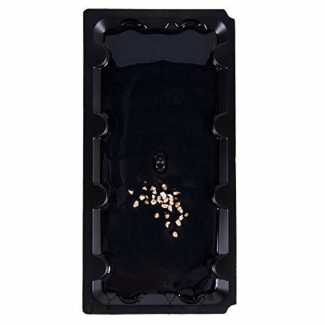 Glue Board Traps for Mice Rats