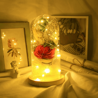 LED Night Light Artificial Rose String Light