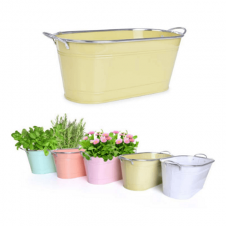 Stainless Steel Flower Pot With Handles 13cm