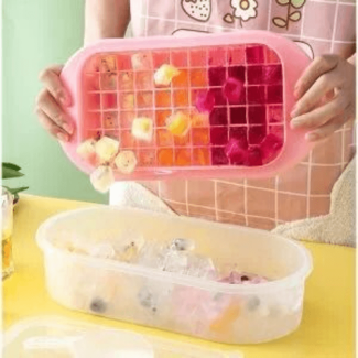 Ice cube with storage box 